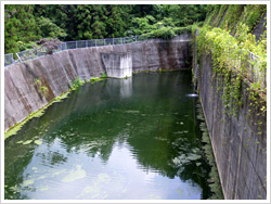 埋立地の沈砂池